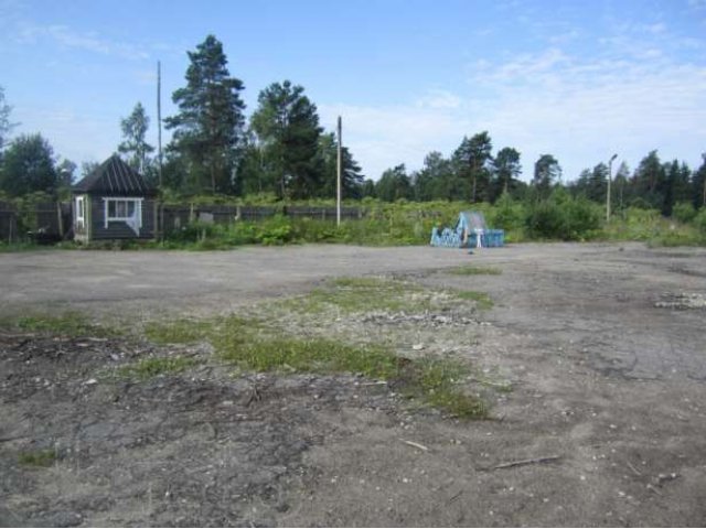 Лесопильное производство в городе Людиново, фото 6, стоимость: 3 000 000 руб.